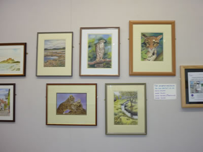 gallery/Activities/Exhibitions/Annual%20exhibitions%20at%20the%20Smith%20House%20Gallery%20Brighouse/2015/P1010460.jpg