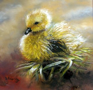 gallery/Members_Paintings/Dorothy-Pickering/Gosling_Chick_Pastel_2.jpg