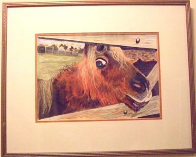 gallery/Members_Paintings/Irene_Scott/Fudge_The_Dartmoor_Ponyaa.jpg