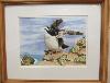 gallery/Members_Paintings/Jean_Webster/_thb_A_Young_Razorbill_wcolour_90aa.jpg