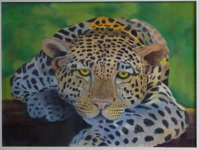 gallery/Members_Paintings/Sue_Blackwell/leopard_sheep_001AA.jpg